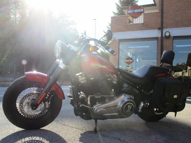 Harley-Davidson 107 Slim (2018 - 20) - FLSL (3)
