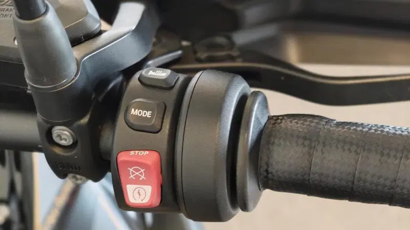 Bmw R 1250 GS (2019 - 20) (6)