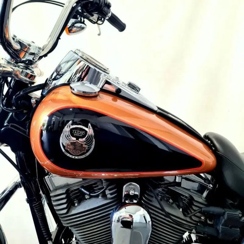 Harley-Davidson 1584 Super Glide Custom (2007) - FXDC (10)