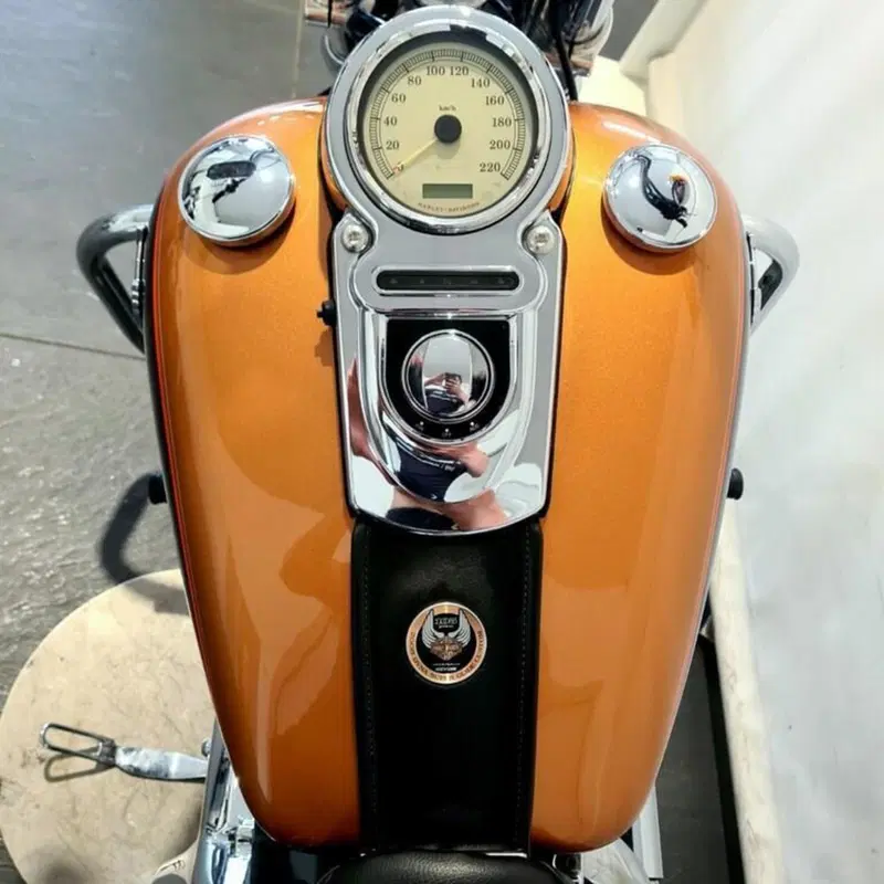 Harley-Davidson 1584 Super Glide Custom (2007) - FXDC (6)