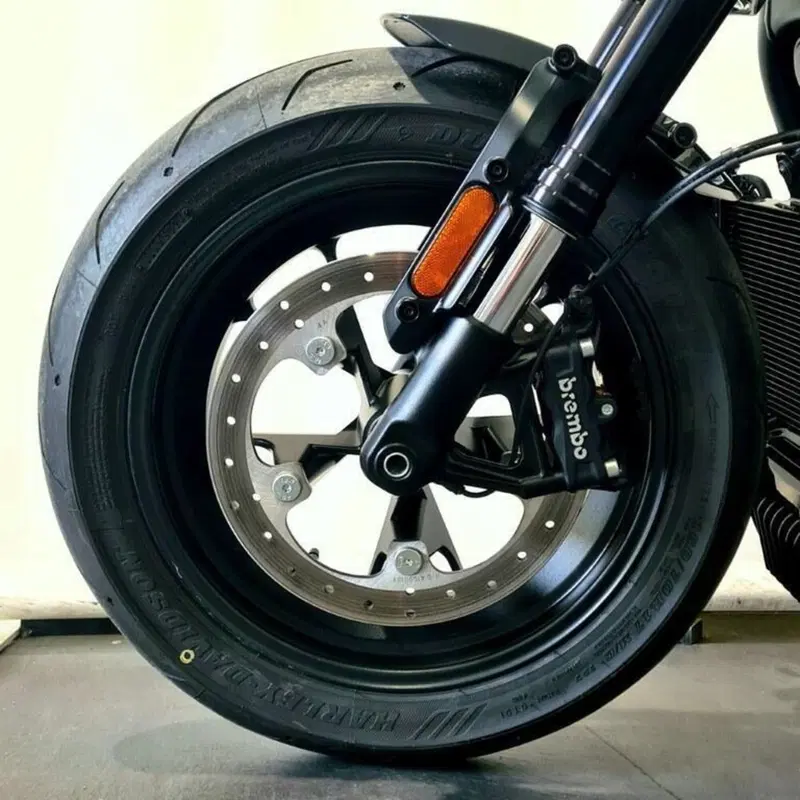 Harley-Davidson Sportster S (2022 - 24) (7)