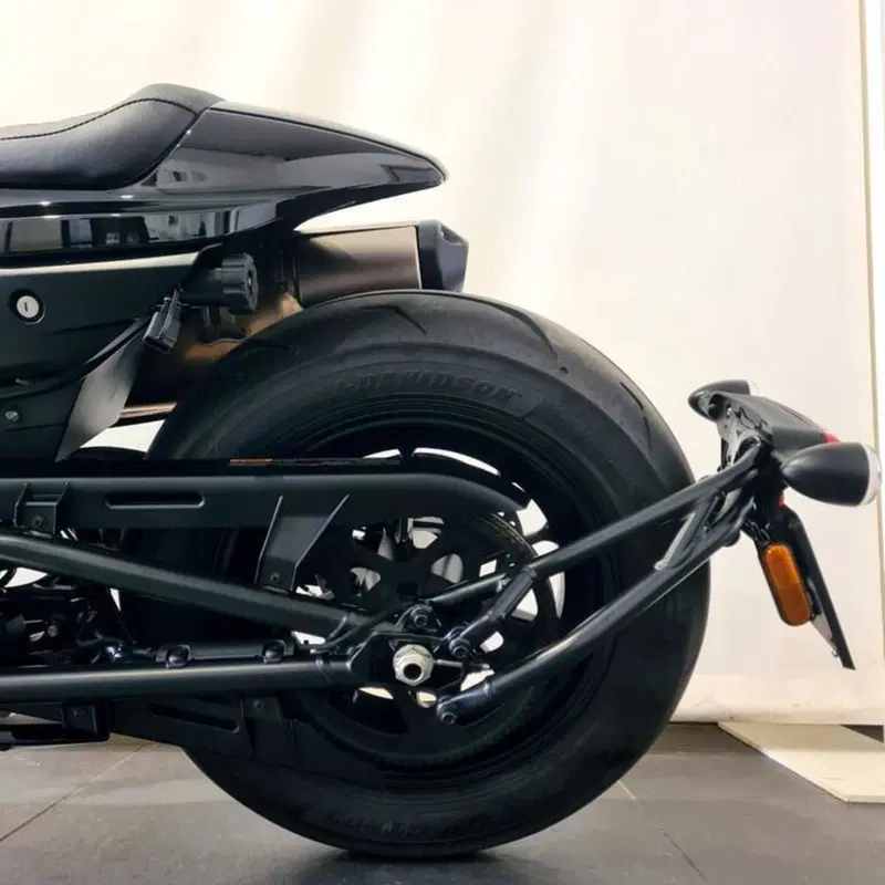Harley-Davidson Sportster S (2022 - 24) (13)
