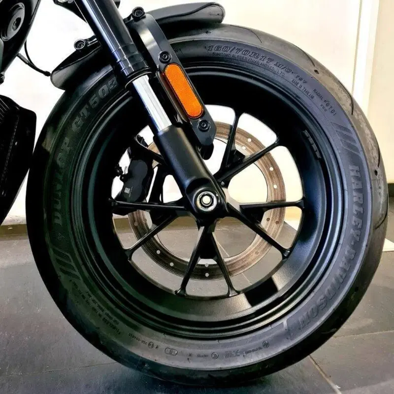 Harley-Davidson Sportster S (2022 - 24) (14)