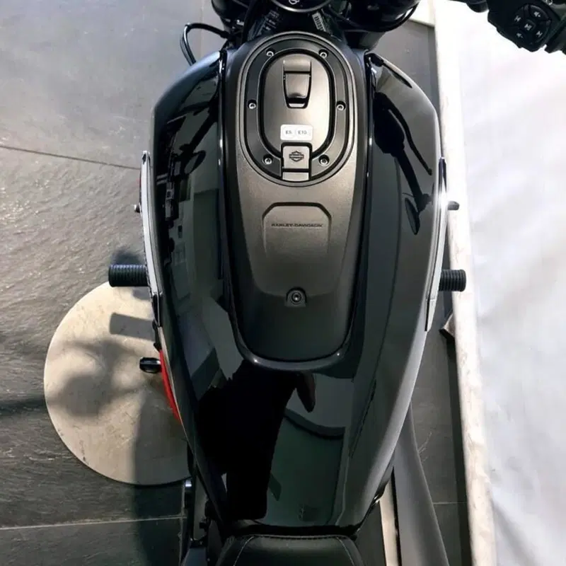 Harley-Davidson Sportster S (2022 - 24) (6)
