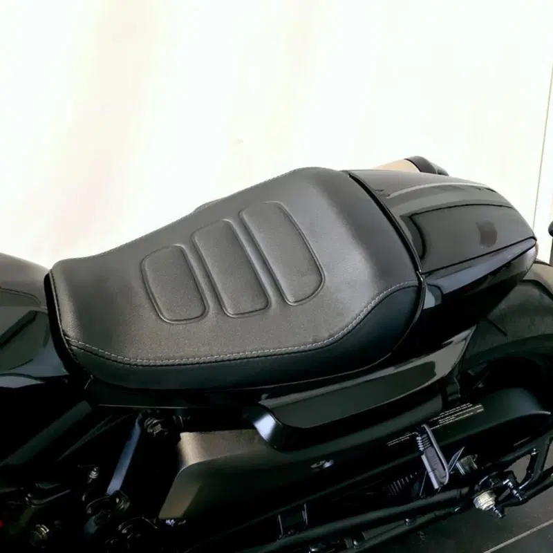 Harley-Davidson Sportster S (2022 - 24) (12)