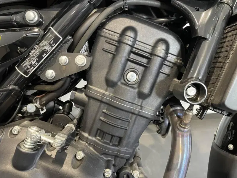 Royal Enfield Guerrilla 450 (2024 - 26) (5)