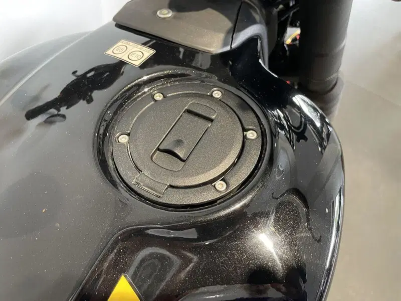 Royal Enfield Guerrilla 450 (2024 - 26) (8)