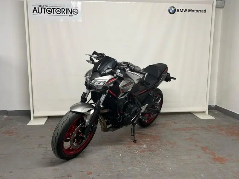 Kawasaki Z 650 (2021 - 24)