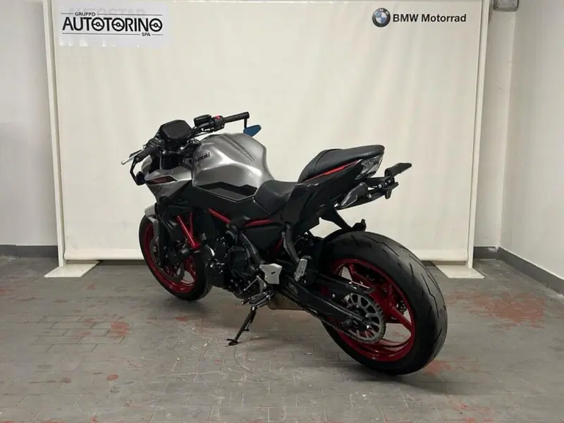 Kawasaki Z 650 (2021 - 24) (7)