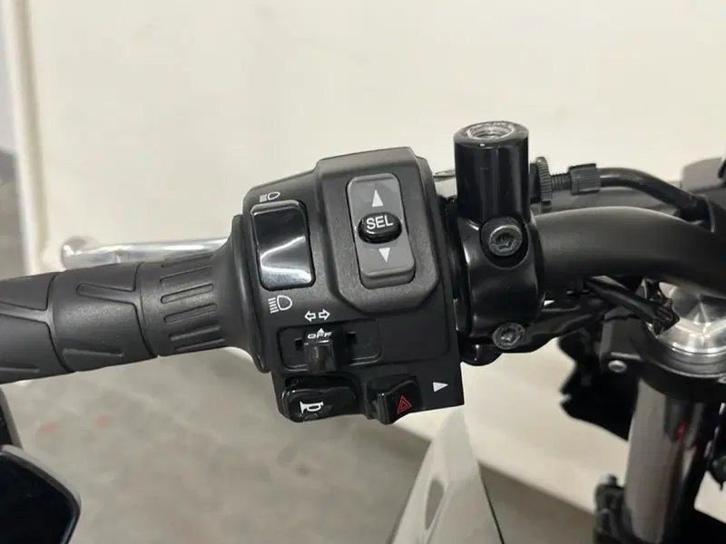 Kawasaki Z 650 (2021 - 24) (9)