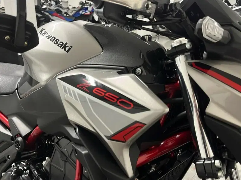 Kawasaki Z 650 (2021 - 24) (13)