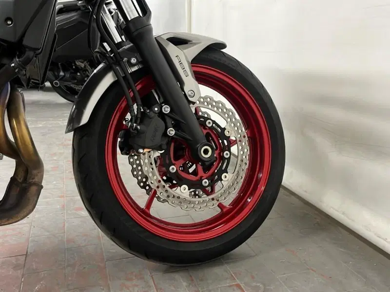 Kawasaki Z 650 (2021 - 24) (12)