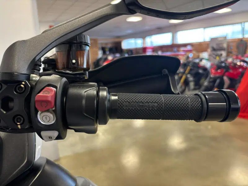 Ducati Multistrada 1200 Enduro Pro (2017 - 18) (12)