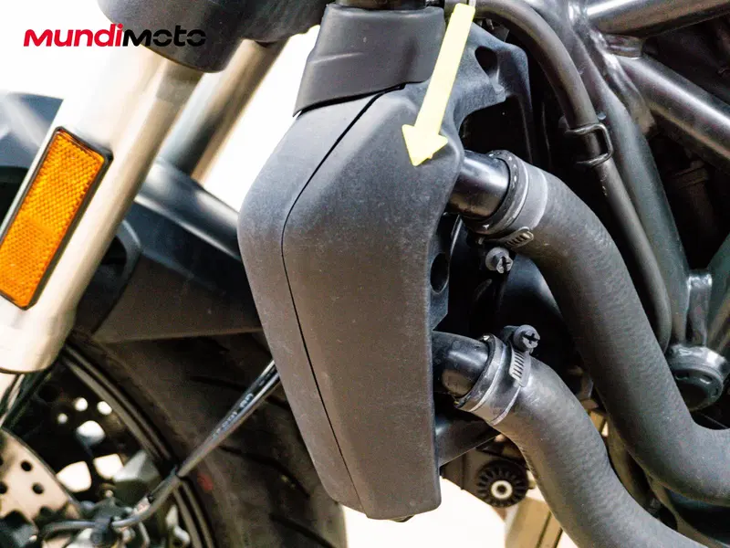 Ducati Monster 821 (2018 - 20) (17)