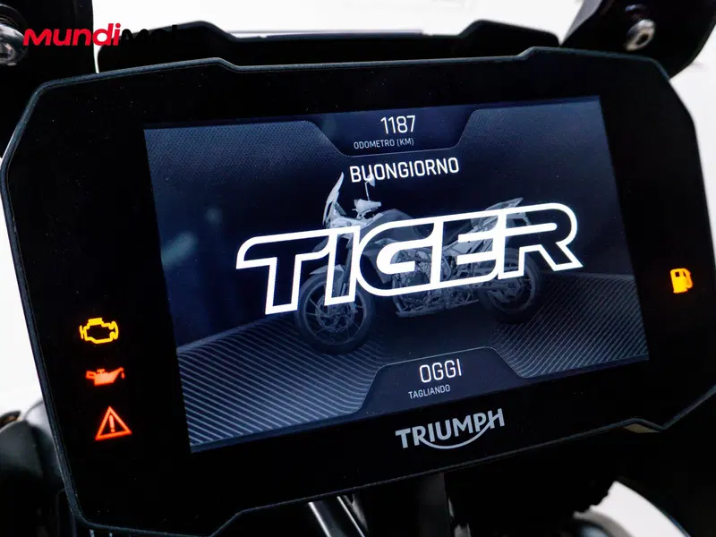 Triumph Tiger 900 Rally Pro (2020 - 23) (12)