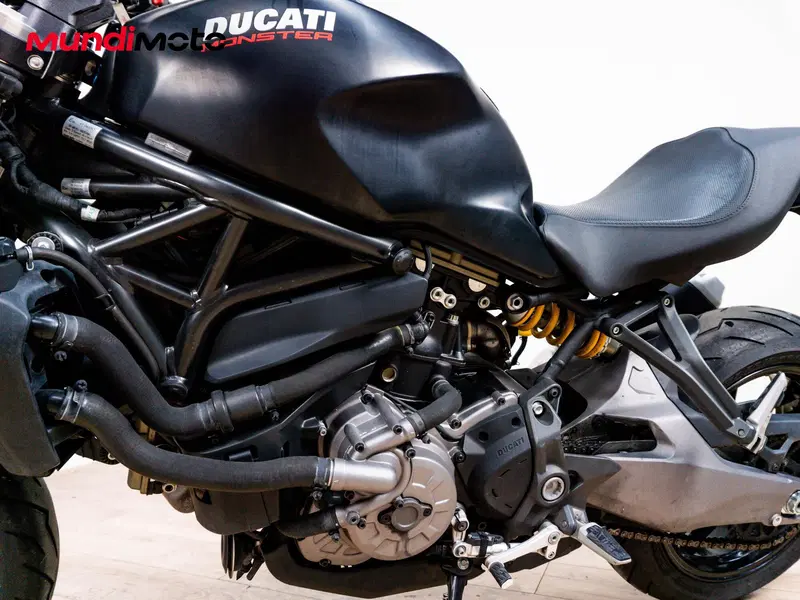 Ducati Monster 821 (2018 - 20) (9)