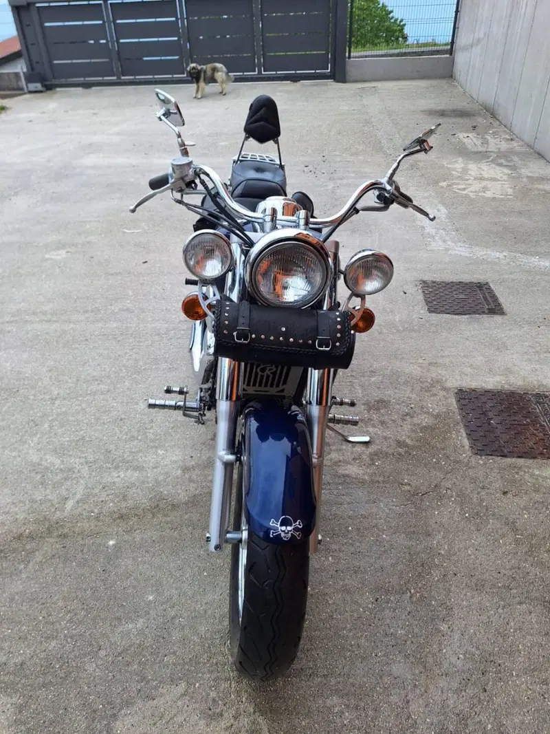 Kawasaki VN 800 Classic (2001 - 06) (3)