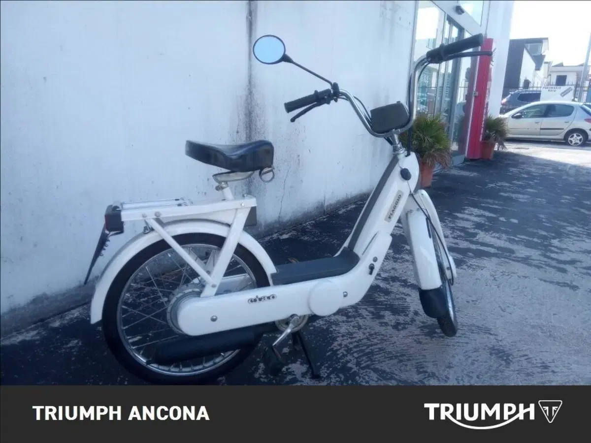 Piaggio Ciao 50 PX (5)