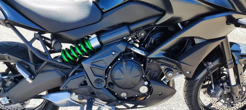 Kawasaki Versys 650 ABS (2015 - 16) (4)
