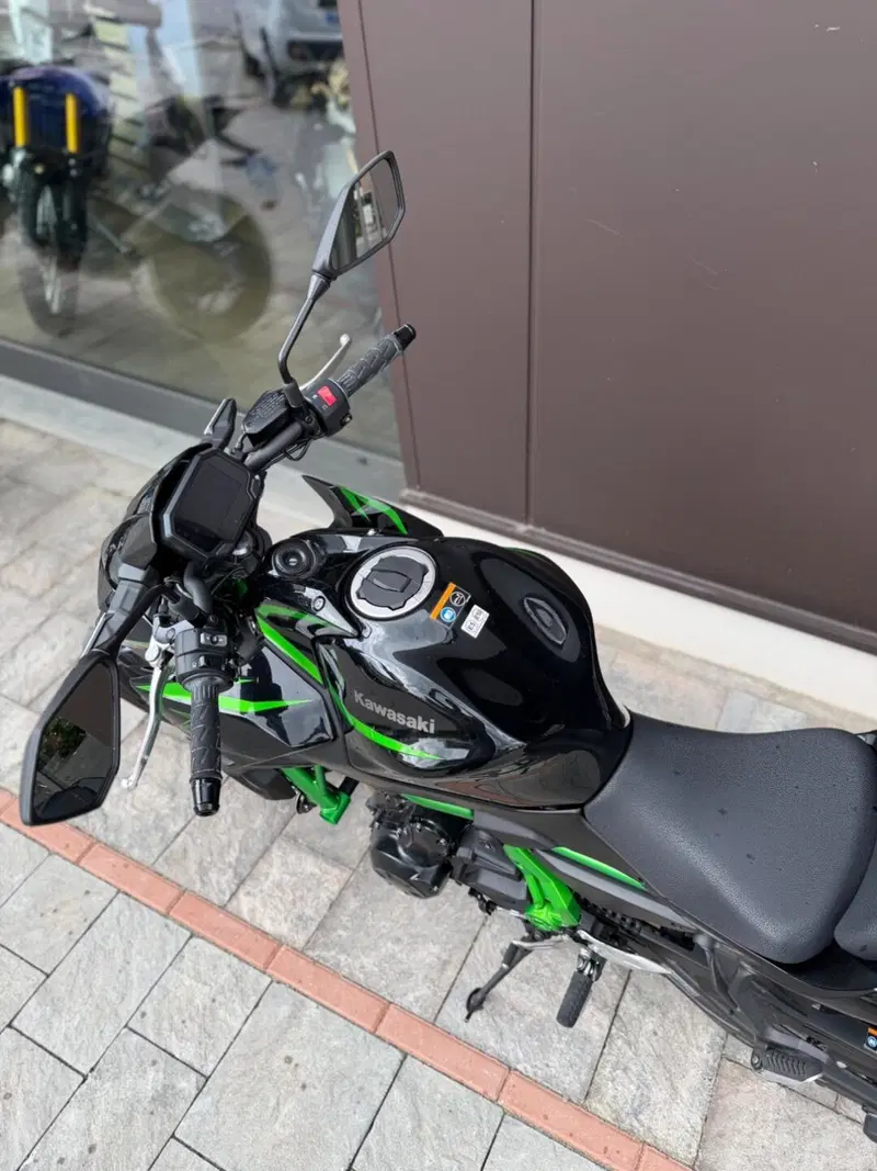 Kawasaki Z 650 (2021 - 24) (4)