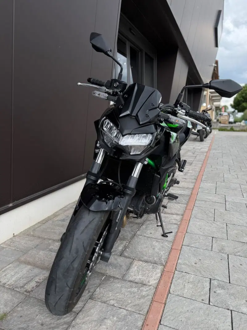 Kawasaki Z 650 (2021 - 24) (6)