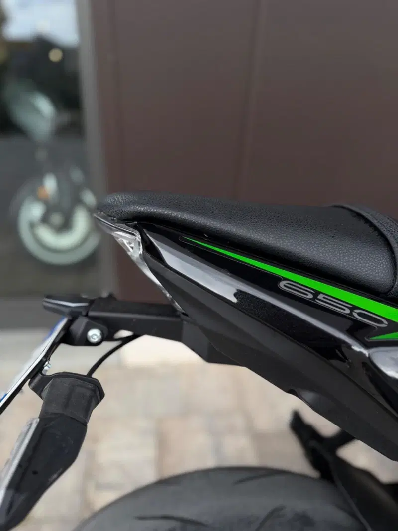 Kawasaki Z 650 (2021 - 24) (8)
