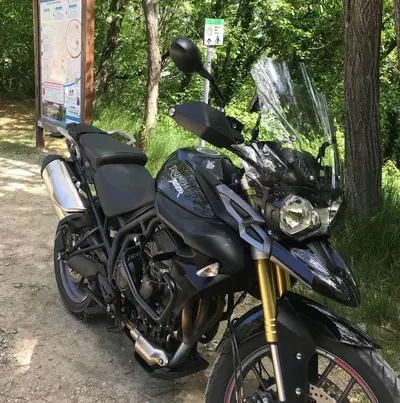 Triumph Tiger 800 ABS (2010 - 14) usata