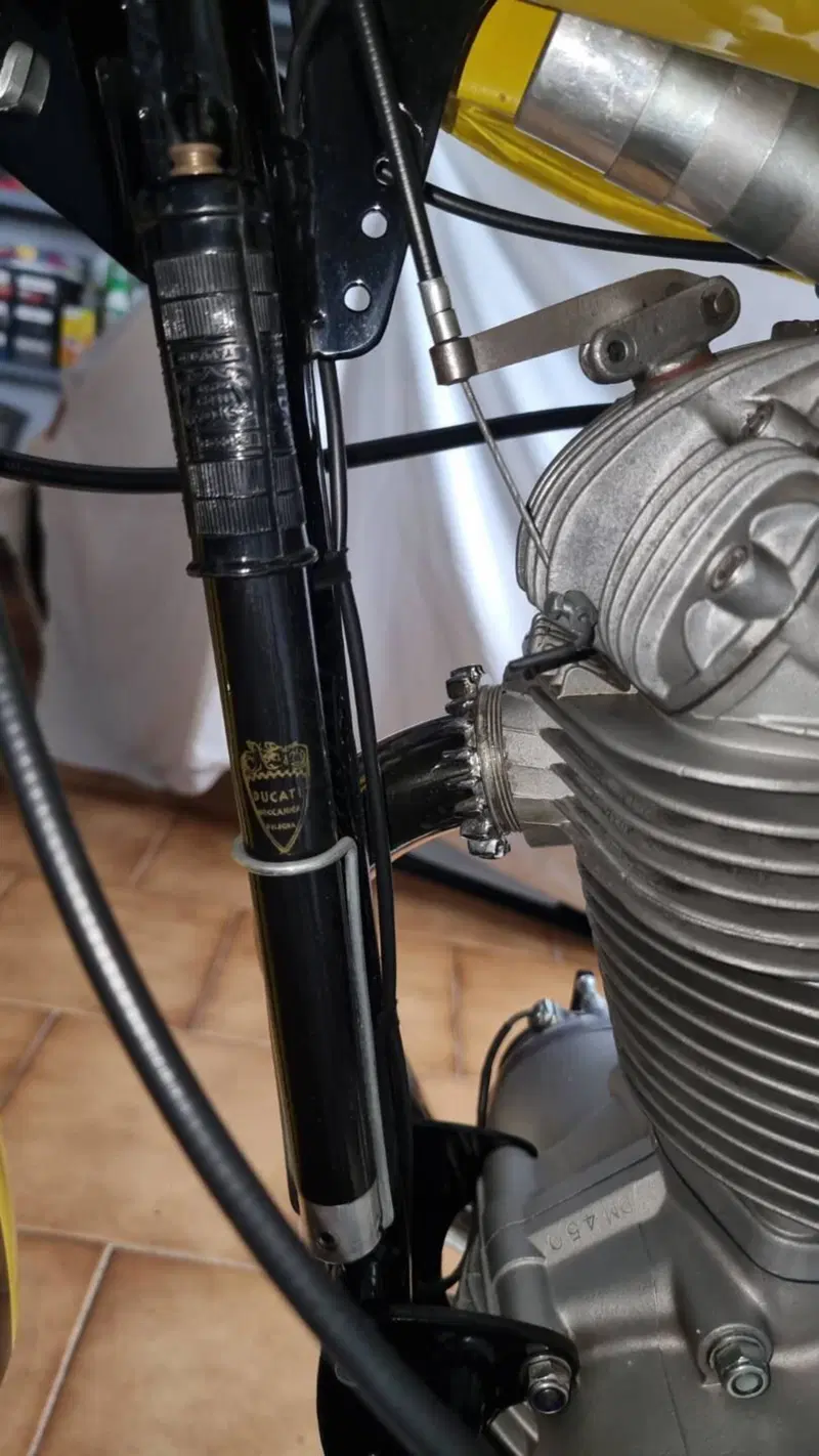 Ducati Scrambler 450 (6)