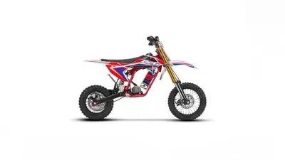 Betamotor Minicross-Electric Li-Ion (2019 - 26) nuova