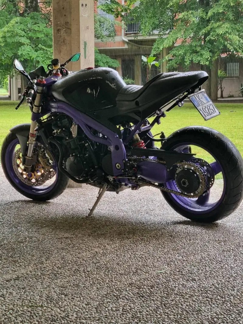 Triumph Speed Triple 955 (1998 - 01)