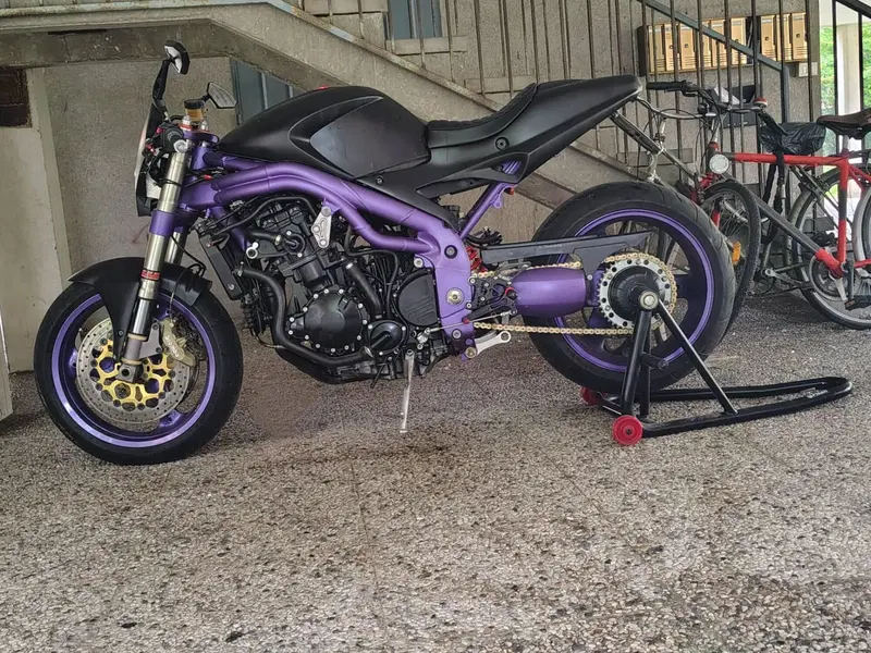 Triumph Speed Triple 955 (1998 - 01) (2)