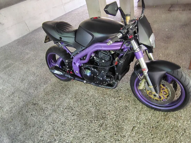 Triumph Speed Triple 955 (1998 - 01) (3)