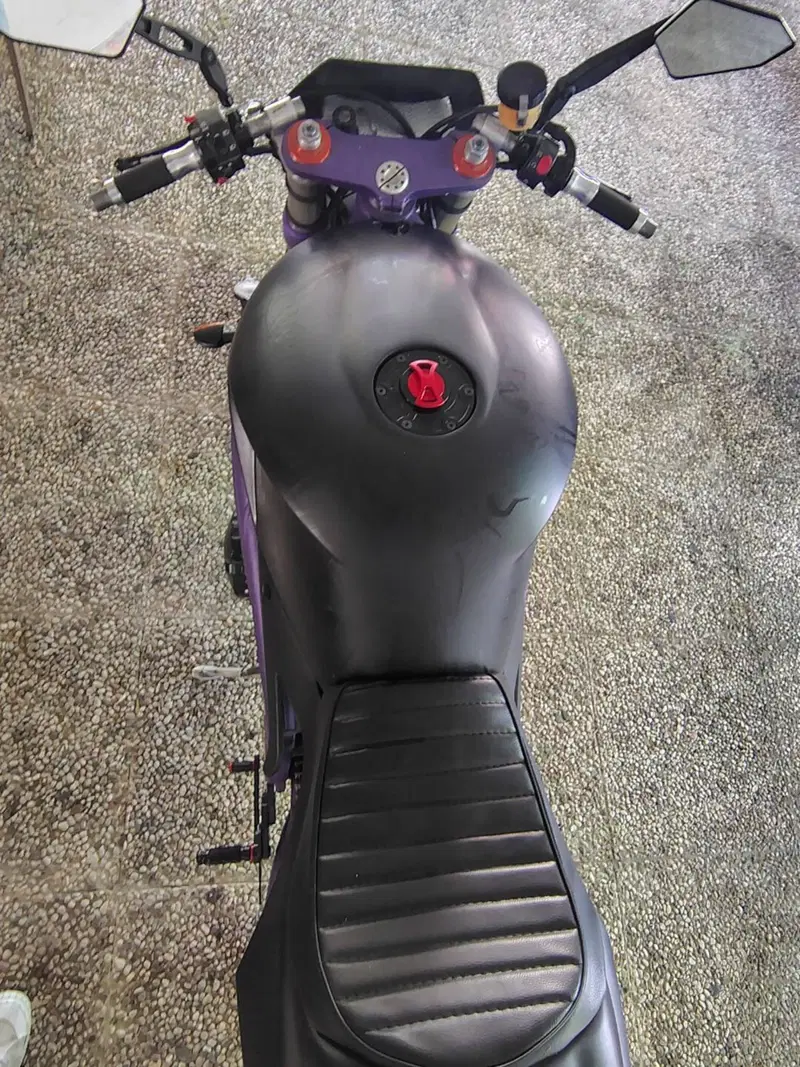 Triumph Speed Triple 955 (1998 - 01) (4)