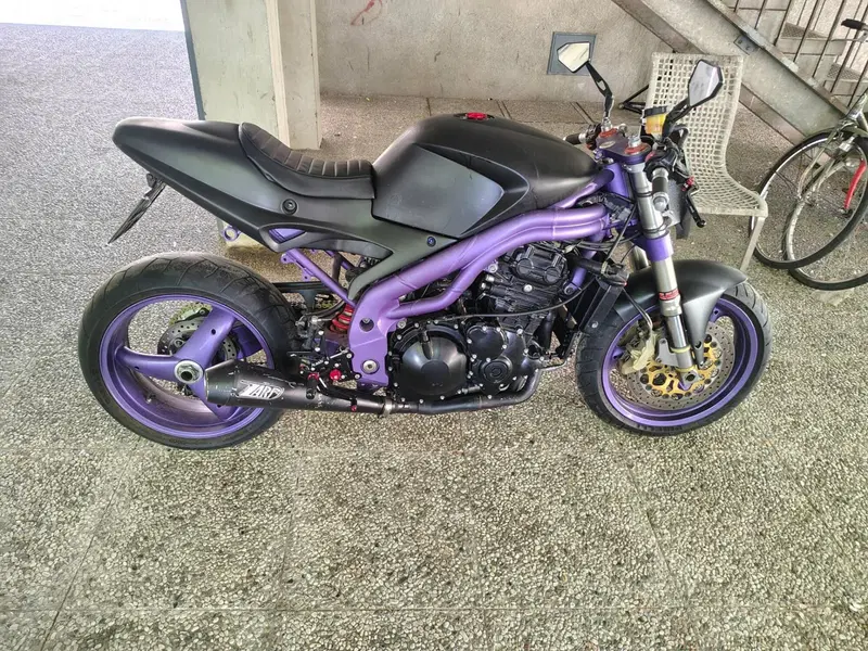 Triumph Speed Triple 955 (1998 - 01) (5)