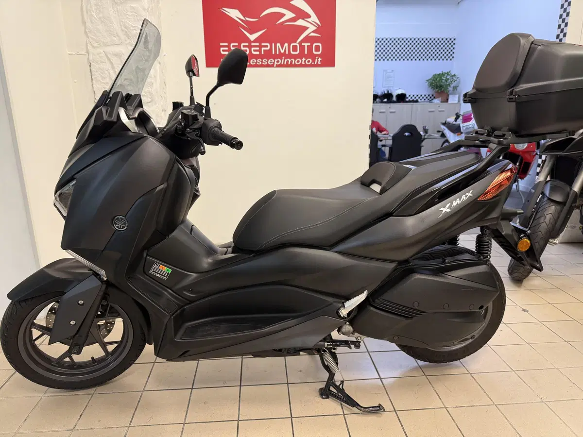 Yamaha X-Max 300 ABS (2017 - 20) (2)