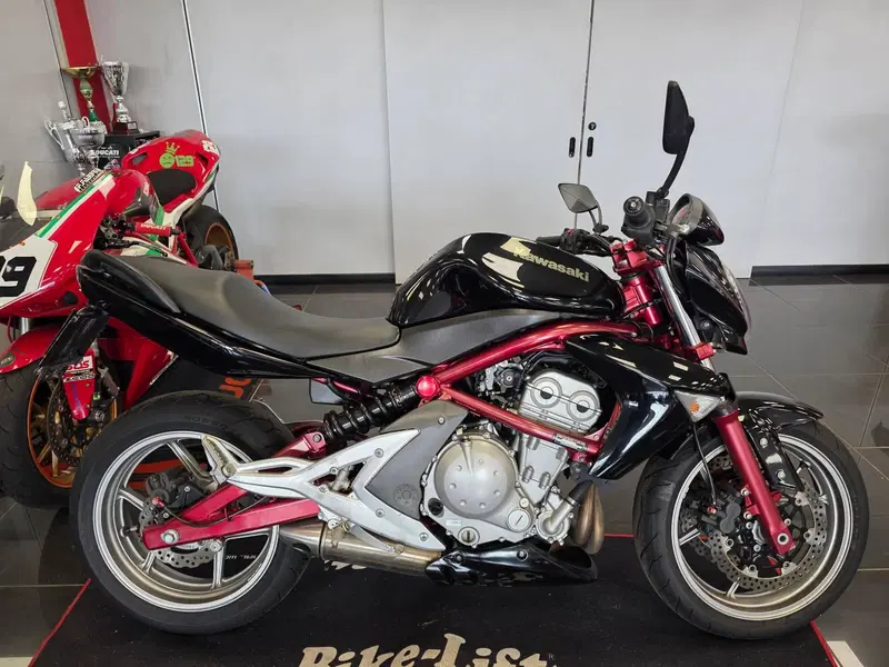 Kawasaki ER-6N (2006 - 09) (3)