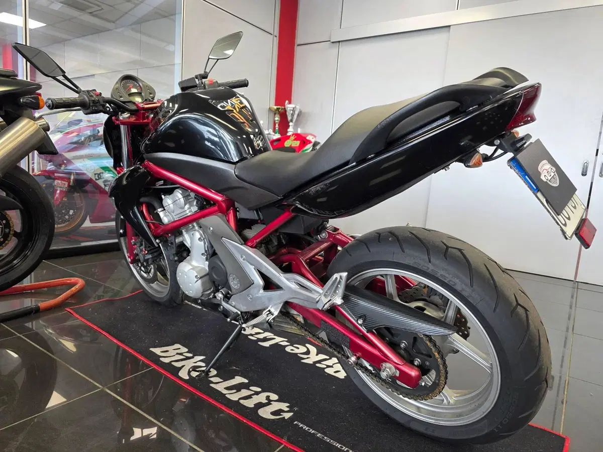 Kawasaki ER-6N (2006 - 09) (8)