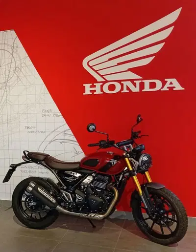 Triumph Scrambler 400 X (2024 - 26) usata