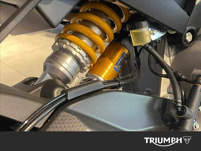 Aprilia Tuono 660 Factory (2022 - 24) (4)