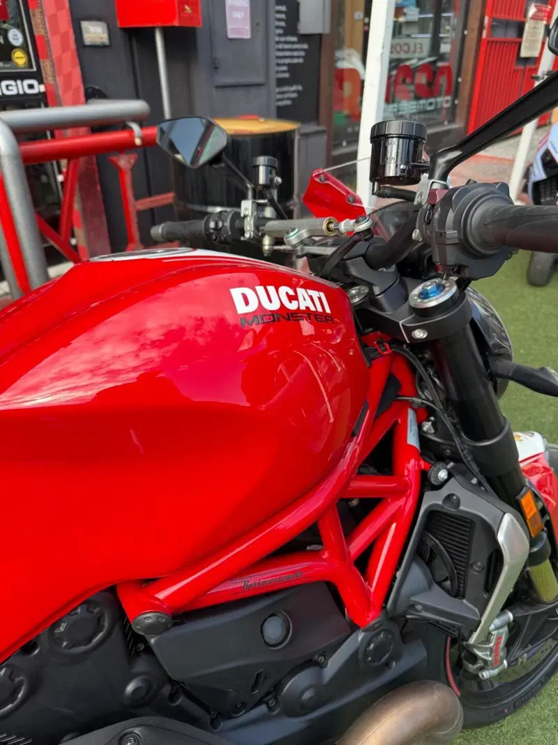 Ducati Monster 1200 R (2016 - 19) (8)