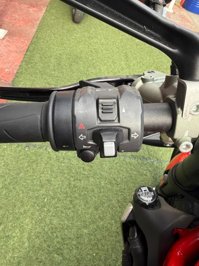 Ducati Monster 1200 R (2016 - 19) (15)