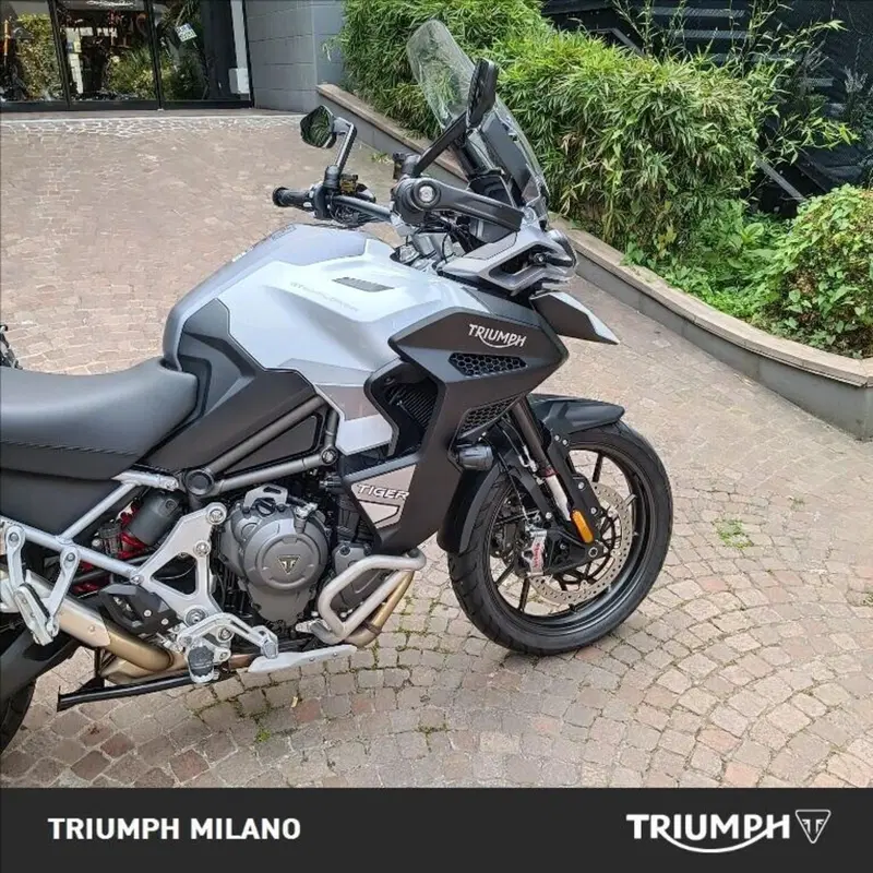 Triumph Tiger 1200 GT Explorer (2024 - 26) (3)