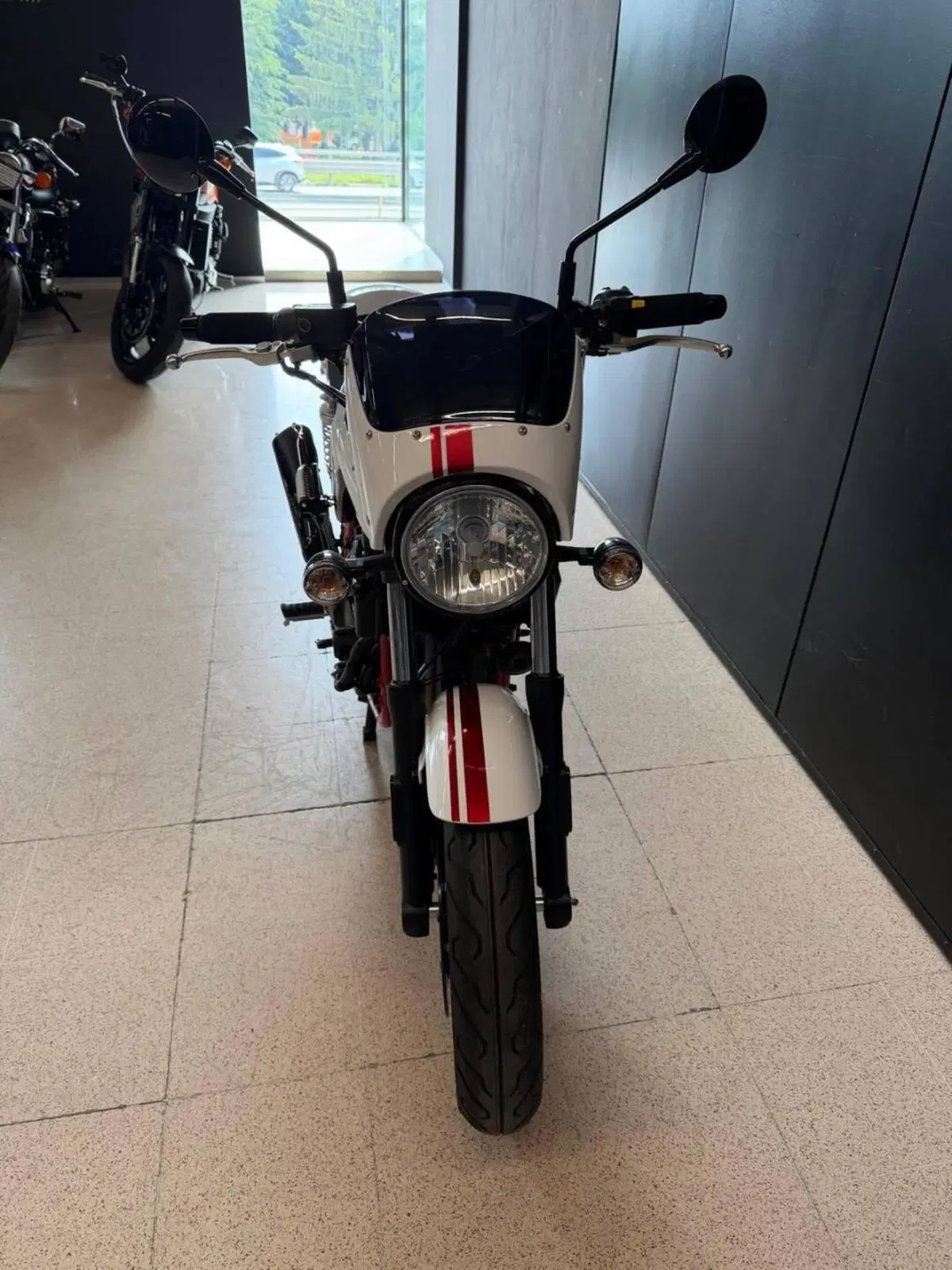 Sym Wolf CR 300 (2019 - 20) (2)