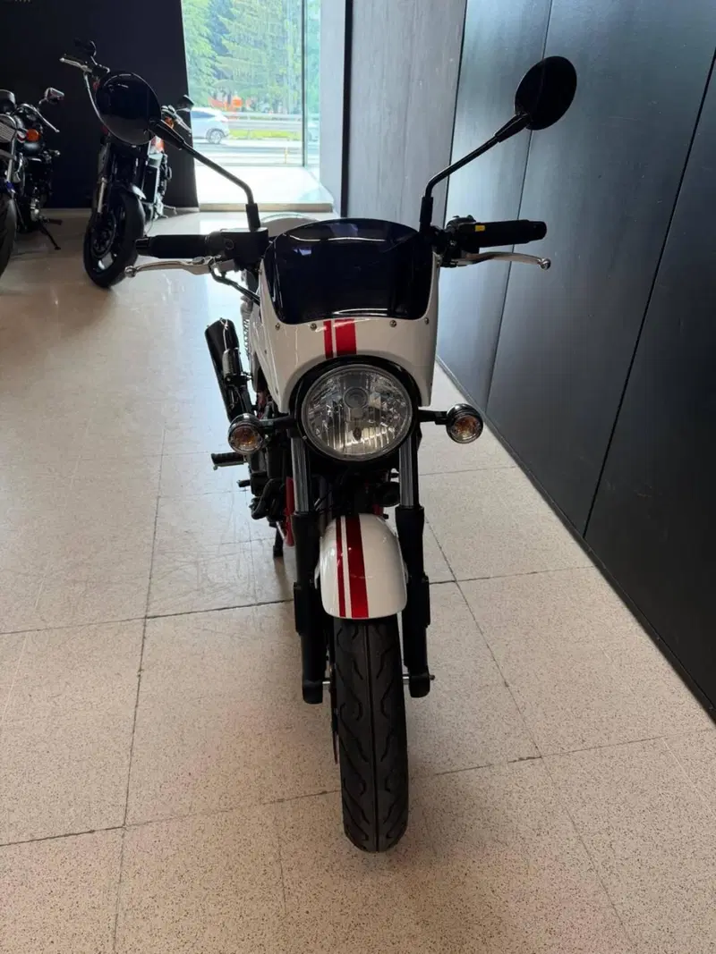 Sym Wolf CR 300 (2019 - 20) (2)