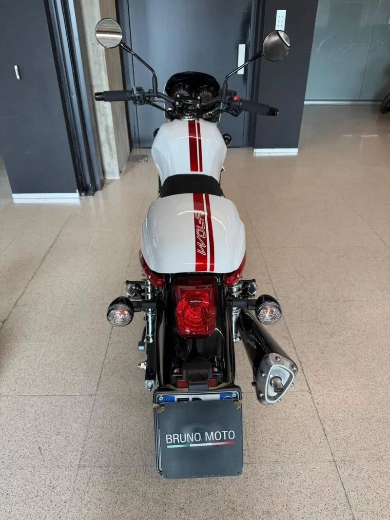 Sym Wolf CR 300 (2019 - 20) (3)