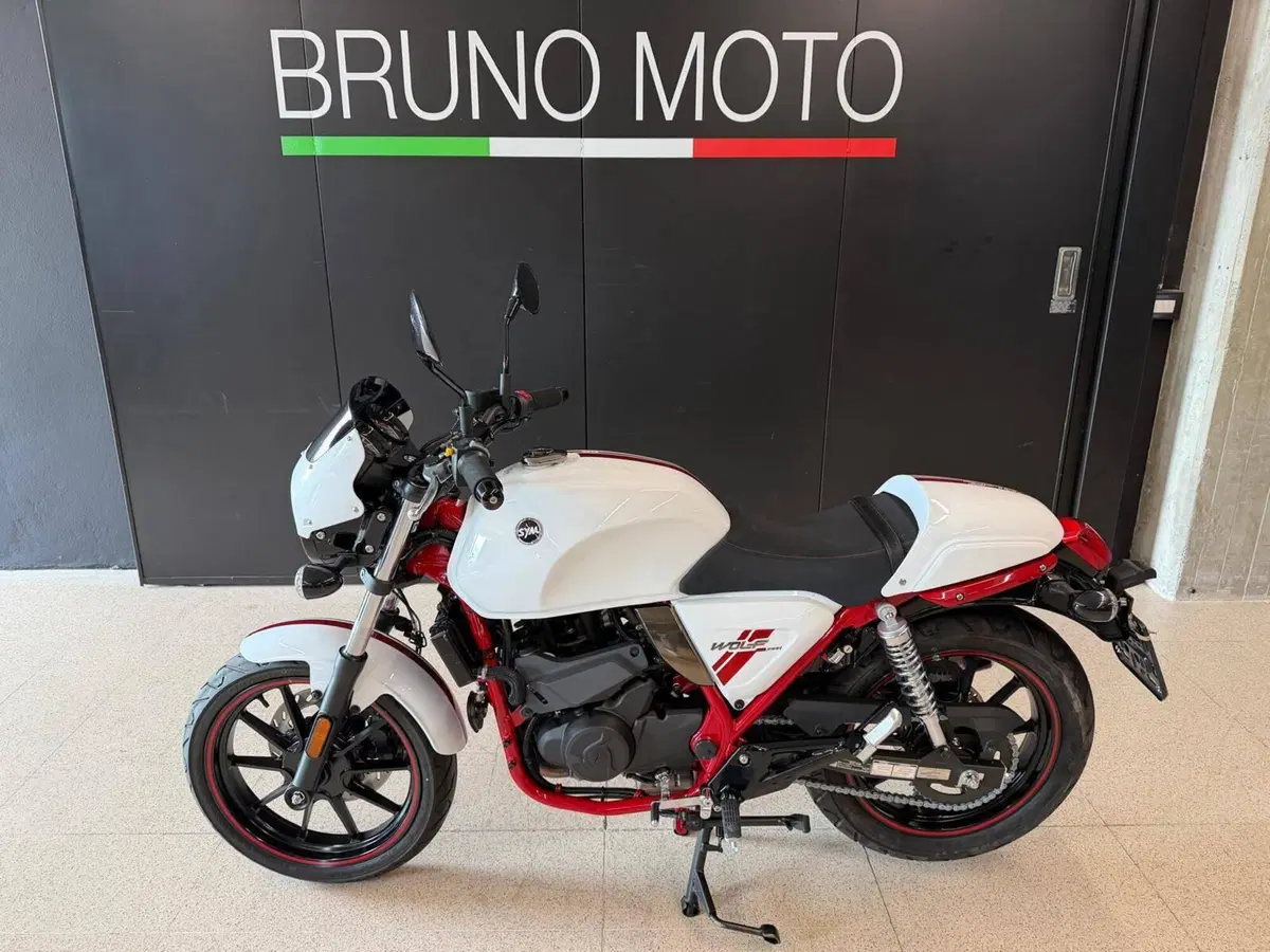 Sym Wolf CR 300 (2019 - 20) (4)