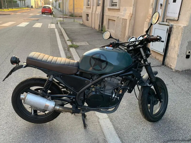 Kawasaki ER-5 500 (2001 - 06) (9)