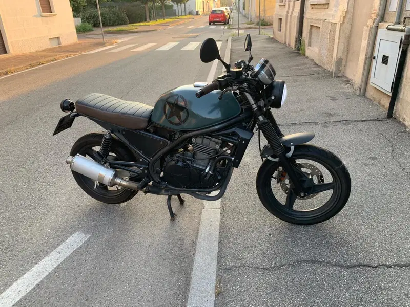 Kawasaki ER-5 500 (2001 - 06) (2)