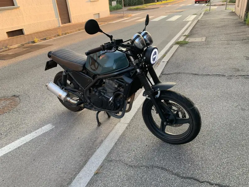 Kawasaki ER-5 500 (2001 - 06) (10)