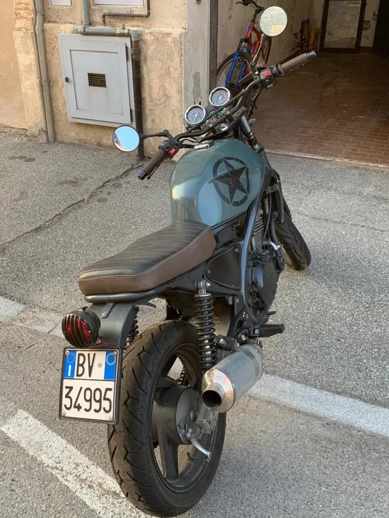 Kawasaki ER-5 500 (2001 - 06) (13)